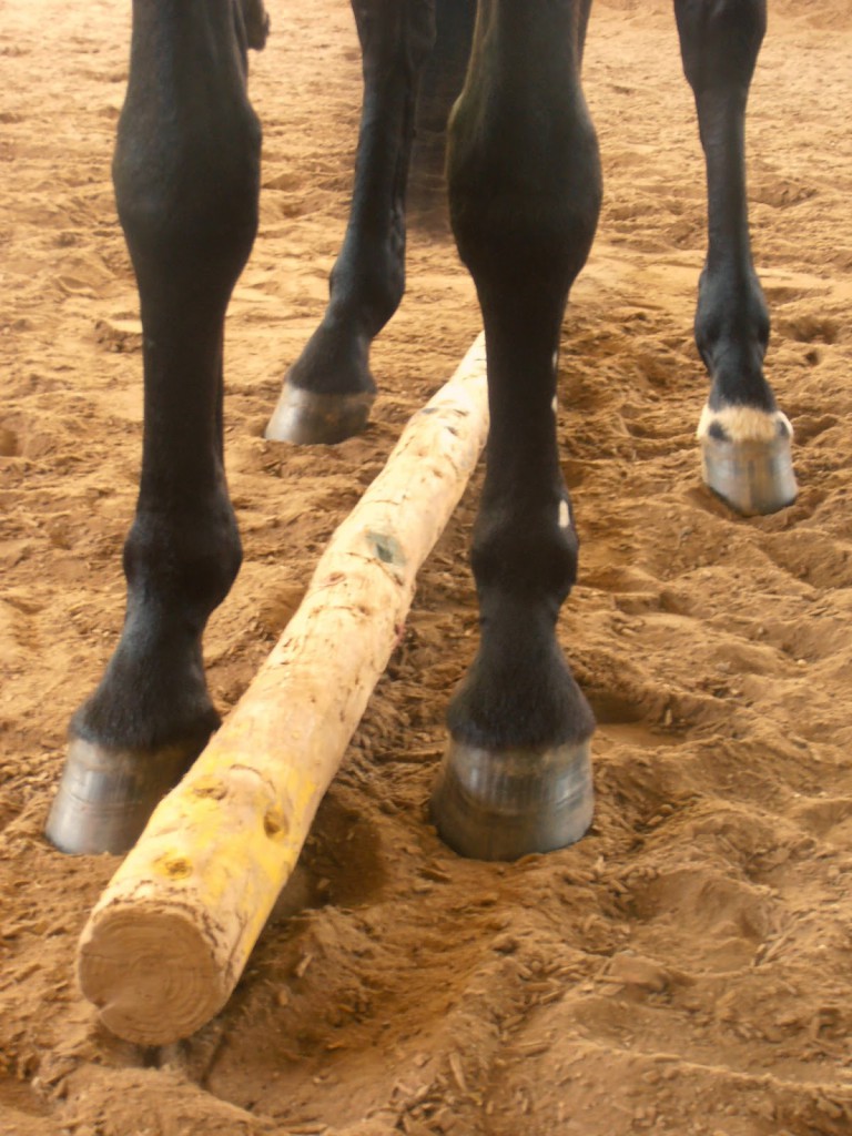 Pferde verstehen, Botschaft an die Füße