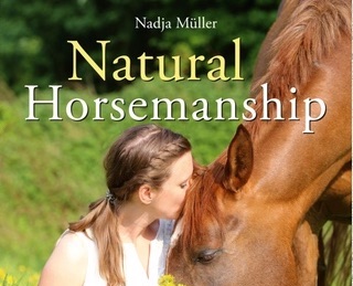Mein Buch