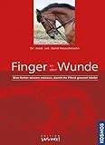 Finger in der Wunde: Was Reiter wissen müssen, damit ihr Pferd gesund bleibt