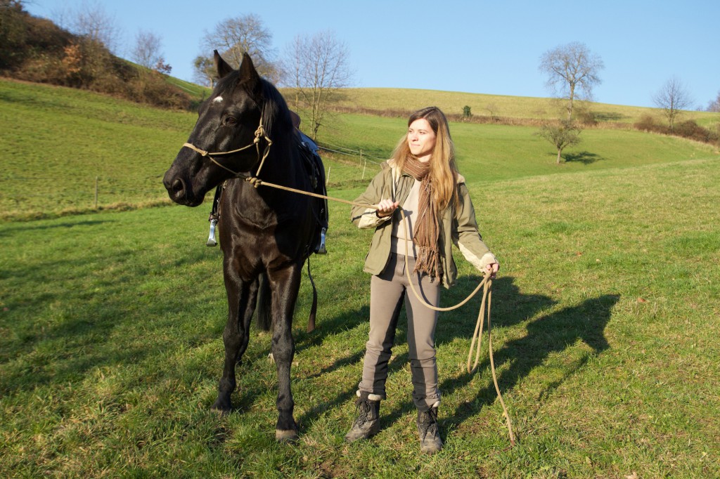 Widerstand im Pferd, Blog Pferde verstehen