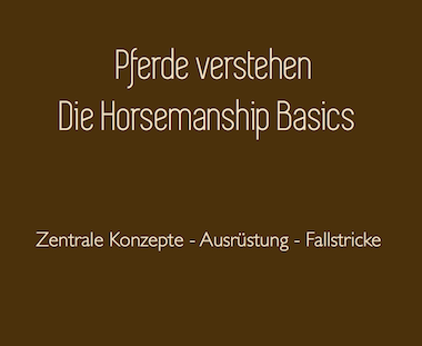 Pferde verstehen Blog