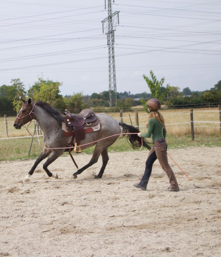 Hier hilft Hinterhand weichen: Pferd wird zu schnell