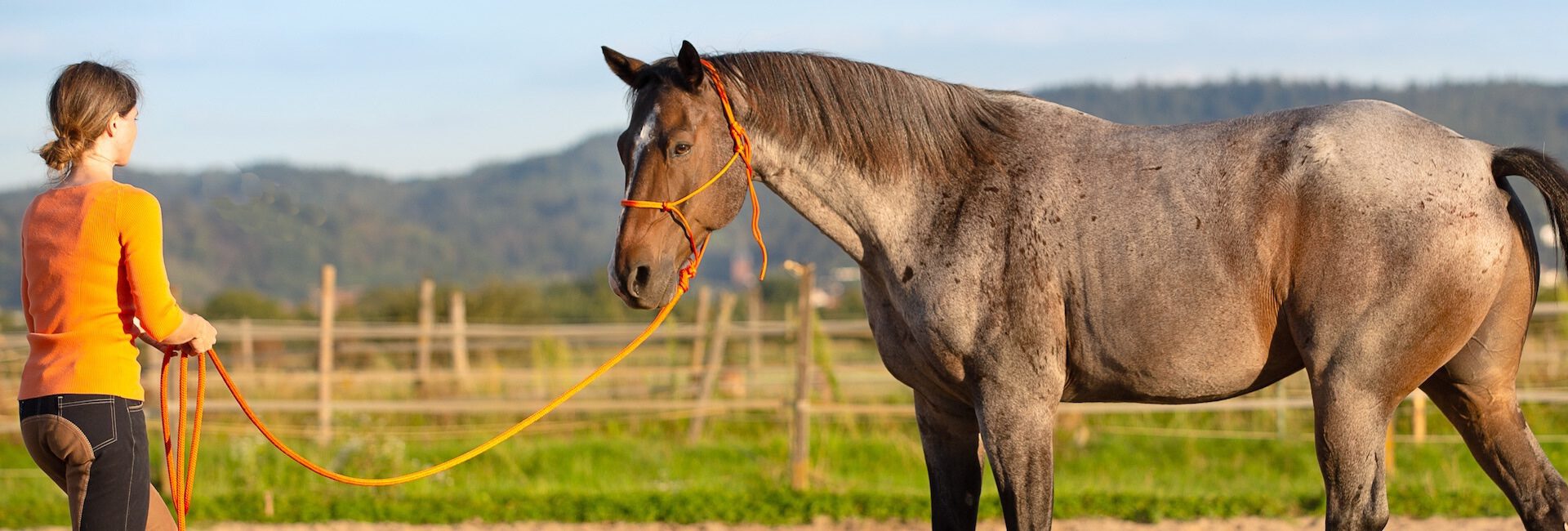 10 Dinge, die ich an dir mag/Mein Pferd rockt