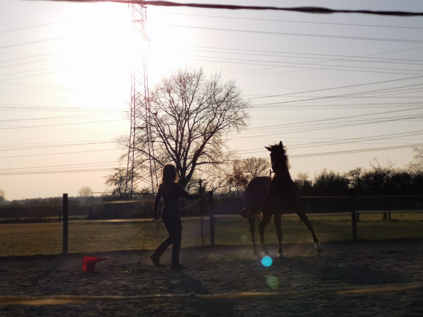 Pferd und Mensch im Gegenlicht