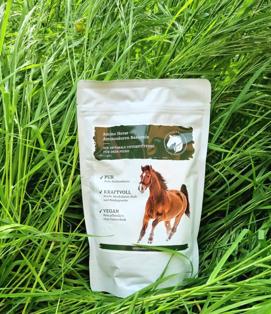 Gras ist eine gute Quelle für Aminosäuren fürs Pferd - der Amino Horse Basismix ebenfalls.