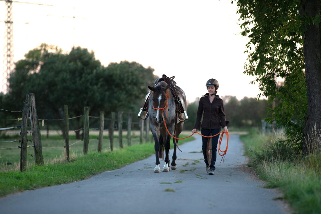 Eine Reiterin führt ihr gesatteltes Pferd auf einem Feldweg. Gezieltes Führen ist ebenfalls eine gute Gewohnheit im Umgang mit Pferden.