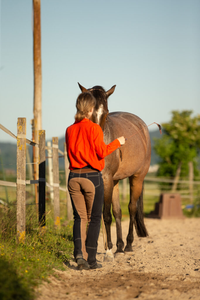Das Pferd zeigt Kruppeherein an der Hand - vorbereitet durch Horsemanship