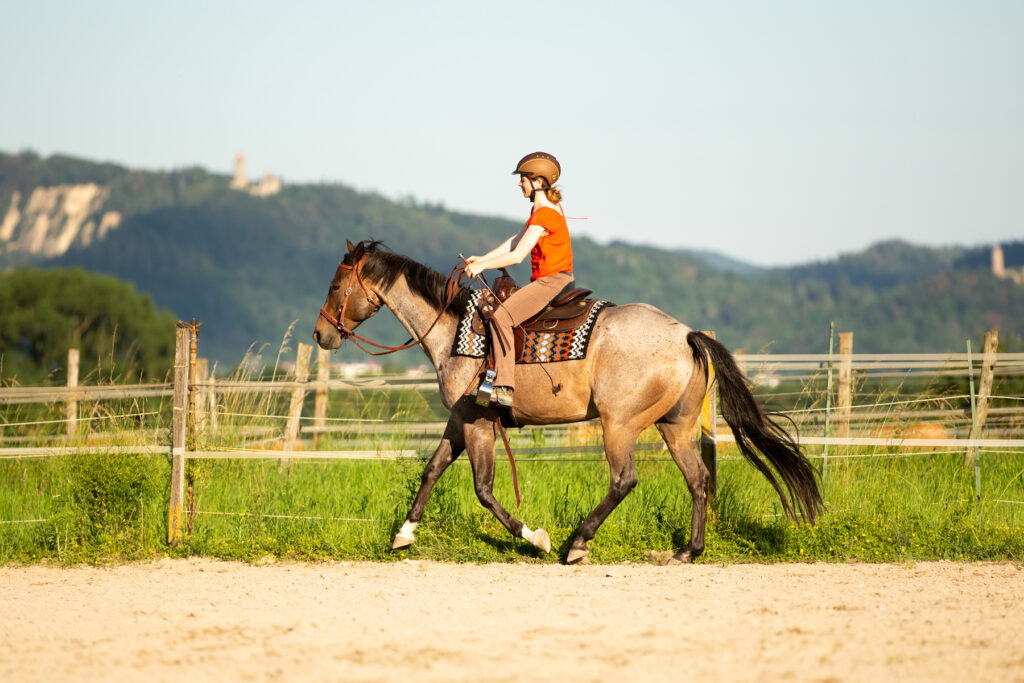 Gebisslos reiten mit Sidepull im Galopp