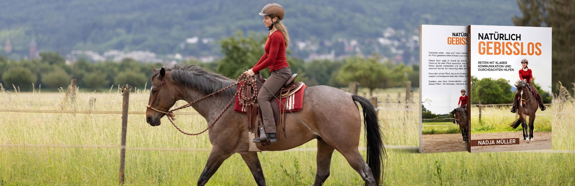 Gebisslos reiten – das Buch!