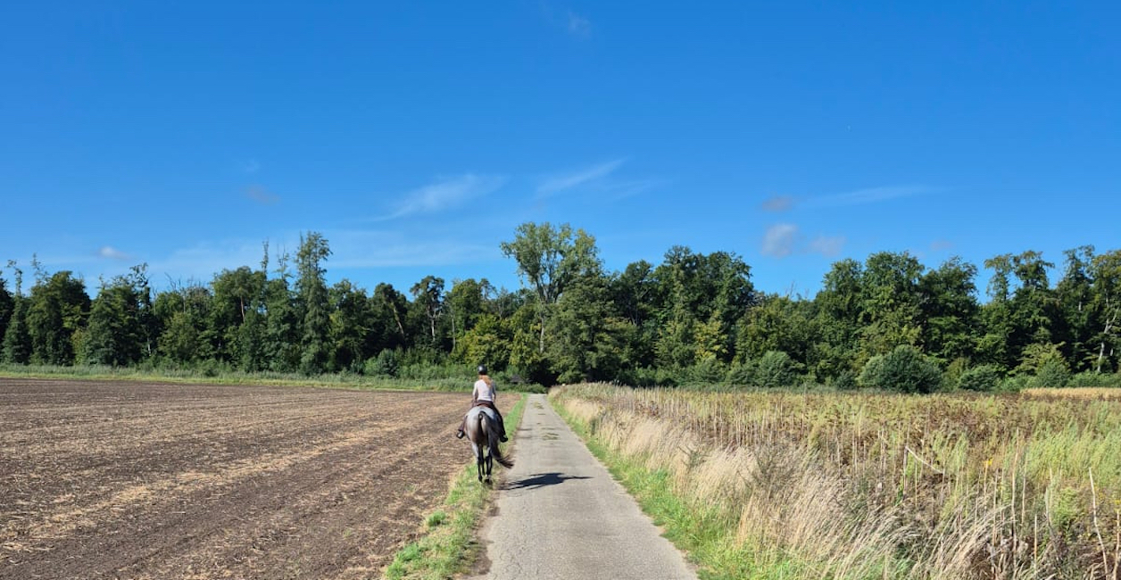 (Sicher) Ausreiten für Hasenfüße – ohne Gebiss