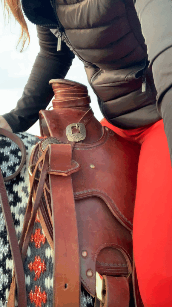 Nahaufnahme von einem Westernsattel und einer Reiterin in Hybridjacke und Reithose von Royal Horsemen