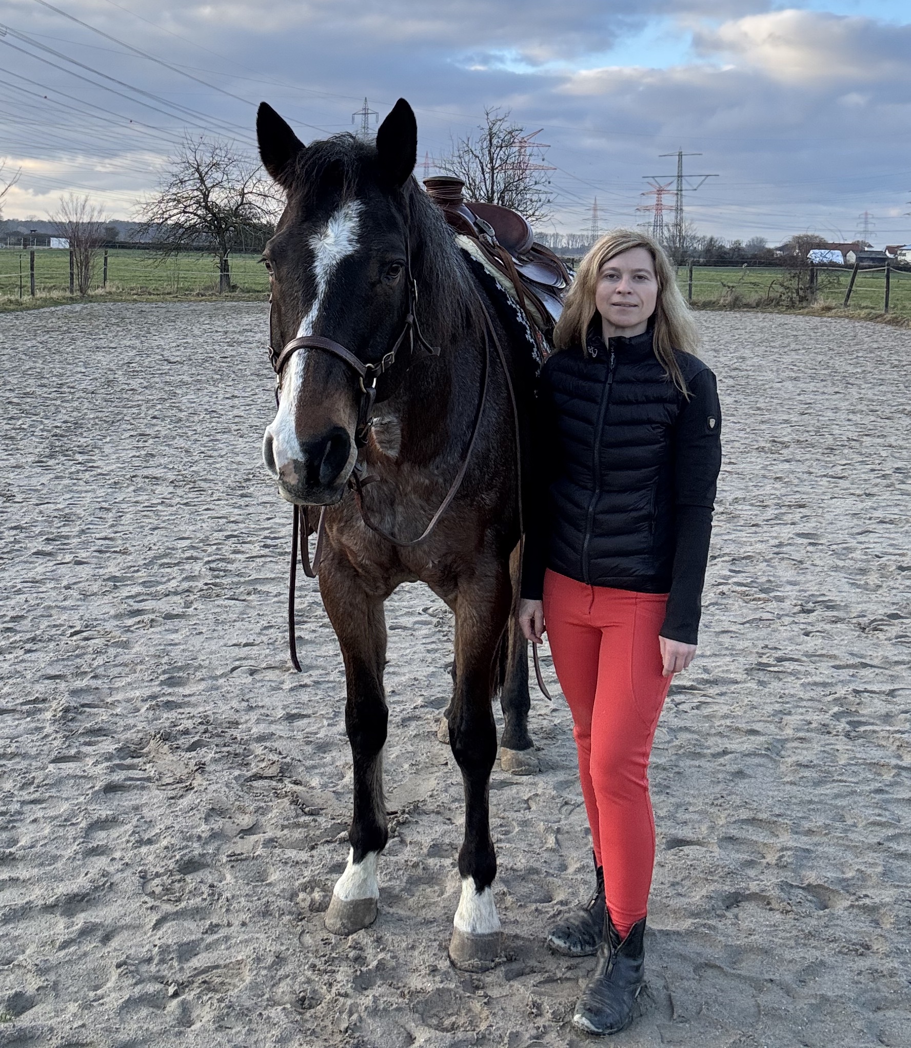 Reiterin neben Pferd auf dem Reitplatz in Hybridjacke und Reithose von Royal Horsemen
